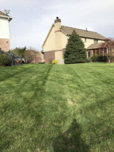 Lawn Mowing in Carmel, Carmel 