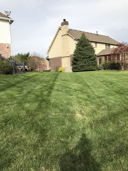 5 Essential Mowing Tips from Rooted Lawn and Landscape