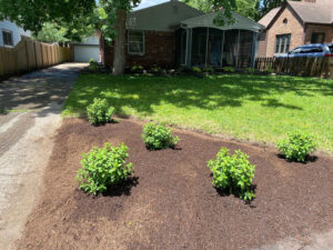 Mulch Installation in Carmel Indiana 