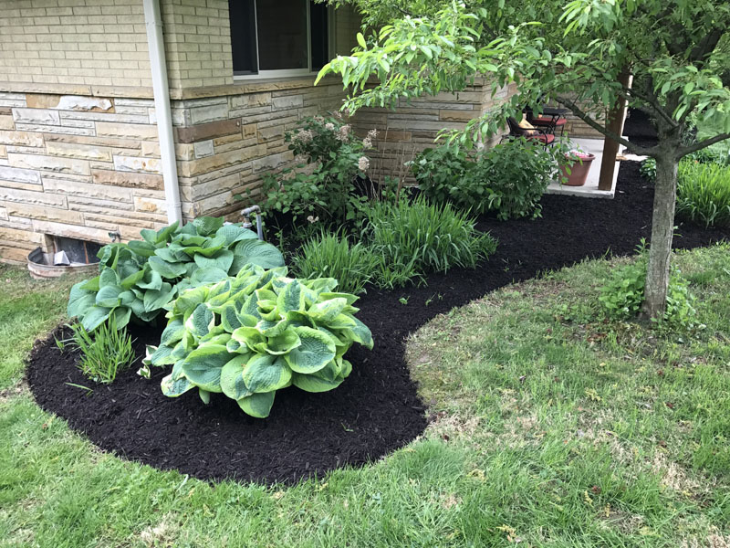 Rooted Lawn & Landscape lawn care process