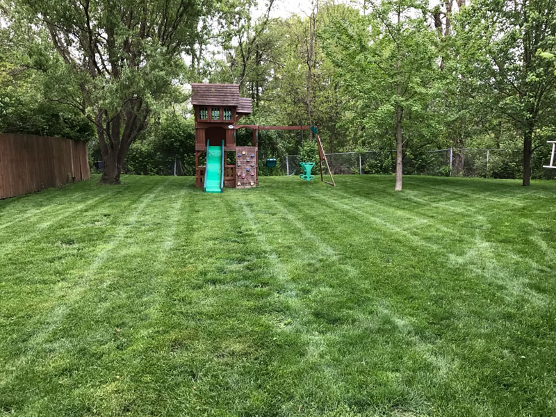 Residential Lawn Care Services in Carmel, IN