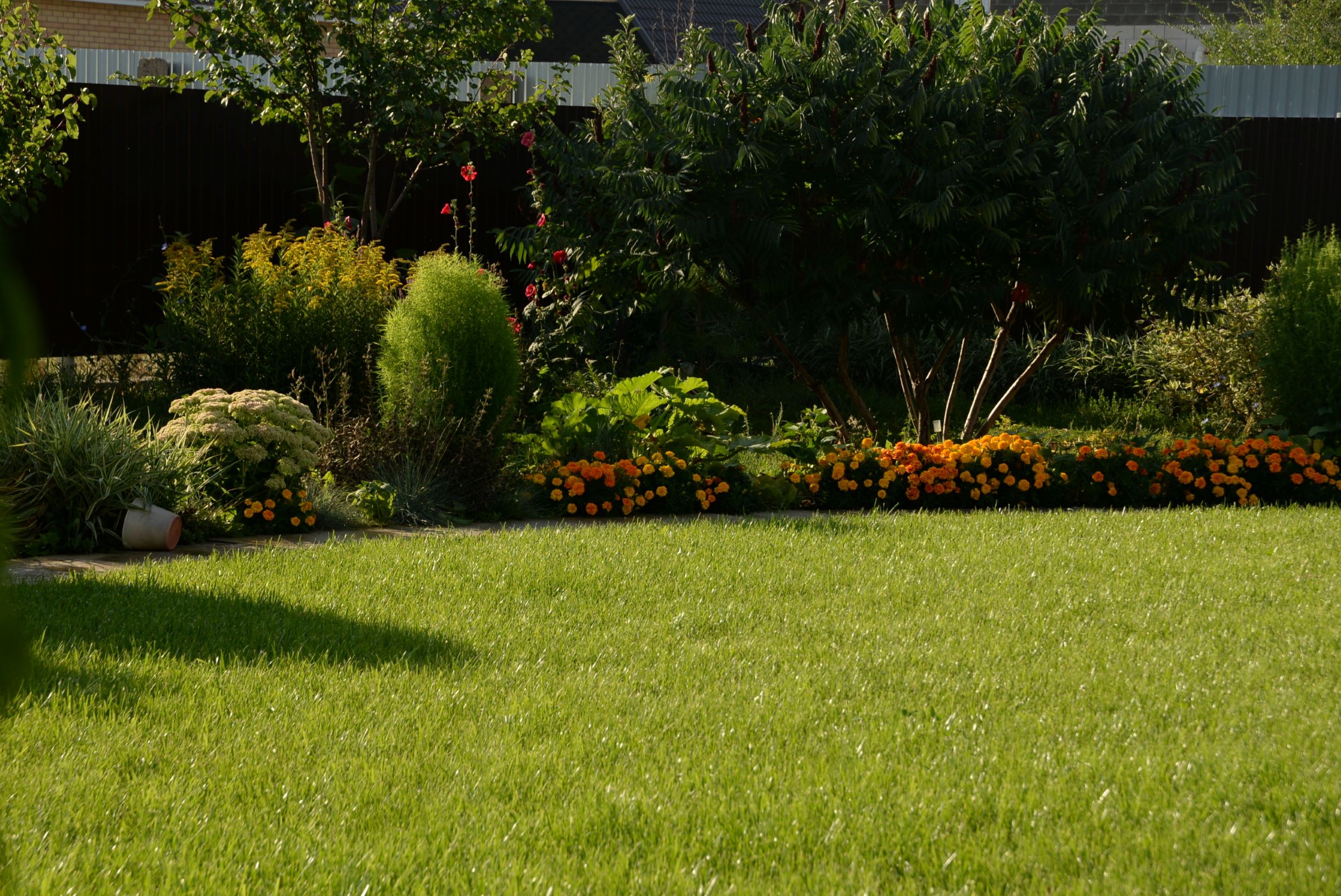 Rooted Lawn & Landscape offers landscape design and installation services in Carmel, IN