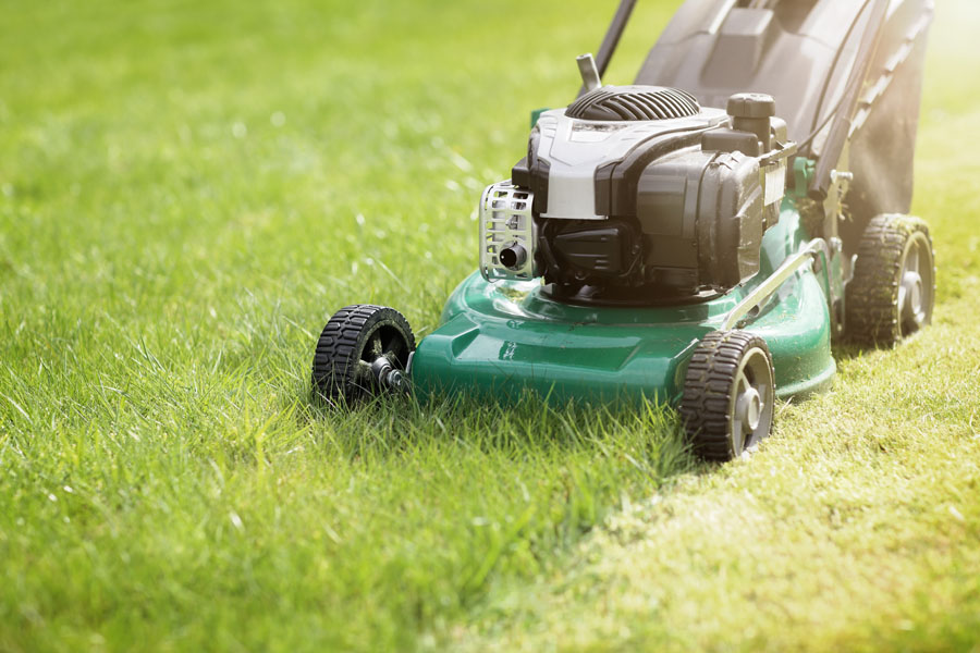 Rooted Lawn & Landscape provides lawn mowing services in Carmel, IN