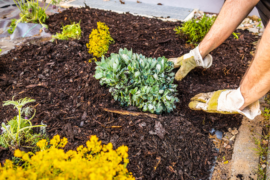 Rooted Lawn & Landscape mulch bed installations and maintenance services in Noblesville, IN