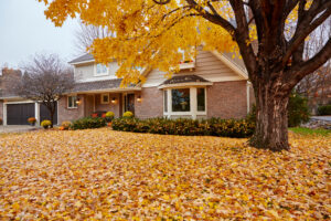 Leaf Removal in Carmel Indiana 