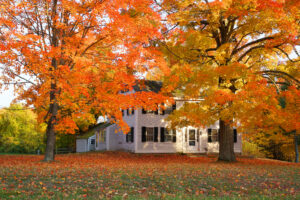 Fall Cleanup Carmel Indiana 