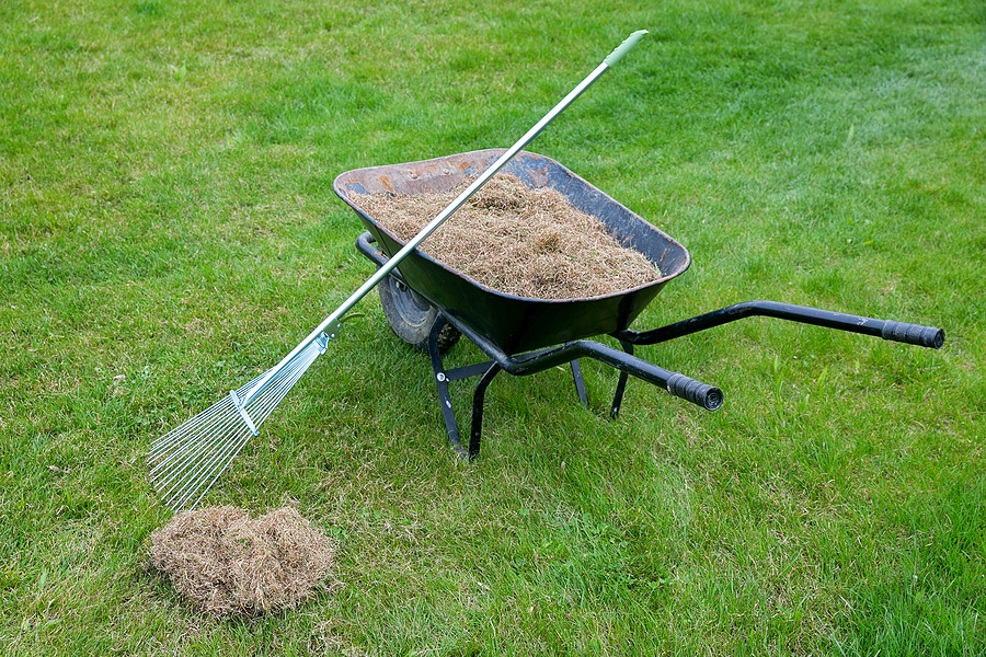 10 Tips to Prepare Your Lawn for Winter